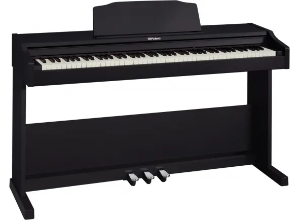 roland-rp-102_5b03d817308cb.webp