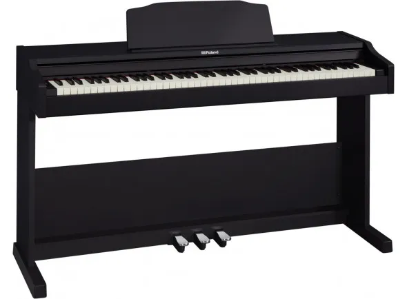 roland-rp-102_5ffda18c4d020.webp