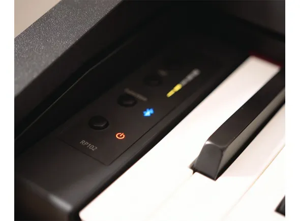 roland-rp-102_5ffda18f6b6e3.webp