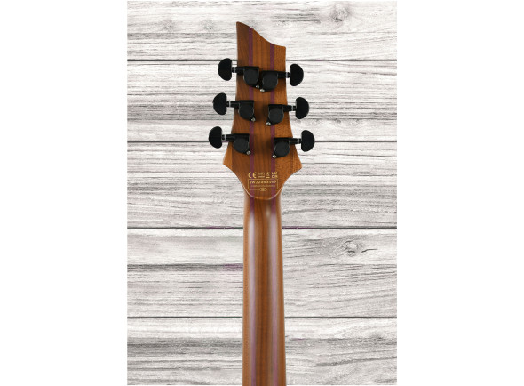 Schecter  C-1 Exotic Ebony NS