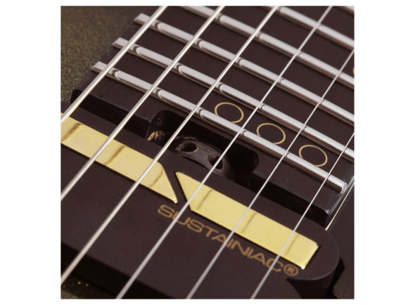 schecter-c-1-fr-s-50th-anniversary_69bd6f0a3850a.jpg