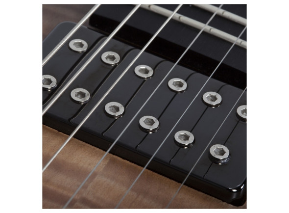 schecter-c-1-standard-plus-ember-burst_695ce810cf8a7.jpg
