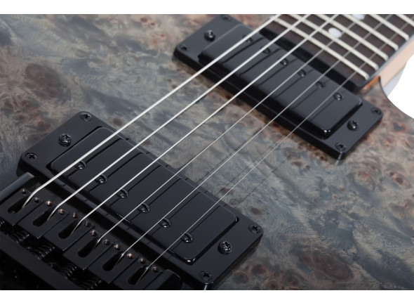 Schecter PT Standard Burl Black Fade Burst