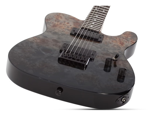 Schecter PT Standard Burl Black Fade Burst