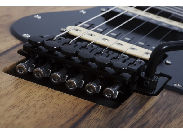 schecter-sun-valley-super-shredder-fr-exotic-black-limba_67ea553c56cfa.jpg