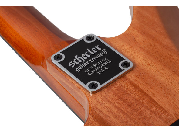 schecter-synyster-std-plus-fr-gn_6a858b38cee42.jpg