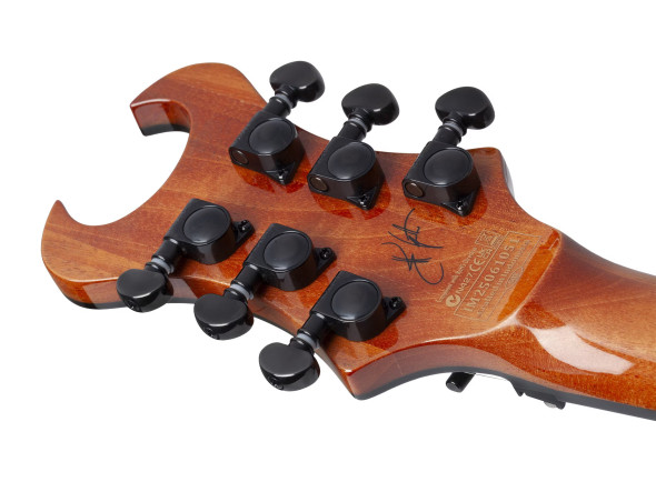 schecter-synyster-std-plus-fr-gn_6a858b3ad2c85.jpg