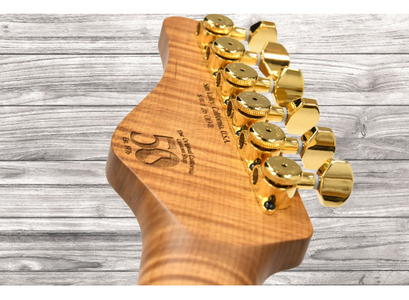 schecter-usa-custom-shop-cet-50th-anniversary-golden-anniversary-41-of-50_69982da10331b.jpg