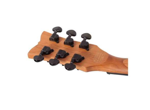 schecter_67b4a2240dd80.jpg