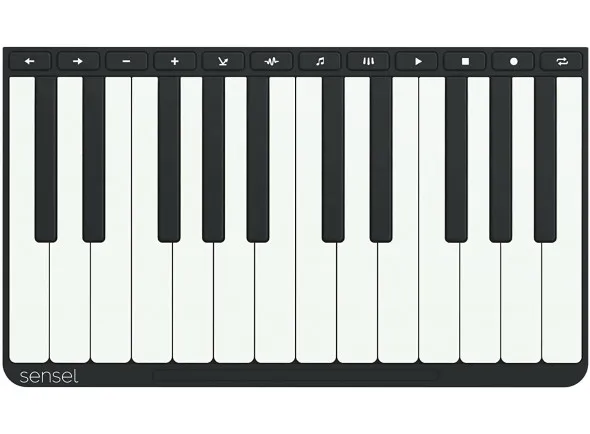 sensel-piano-overlay_602aa5f228556.webp