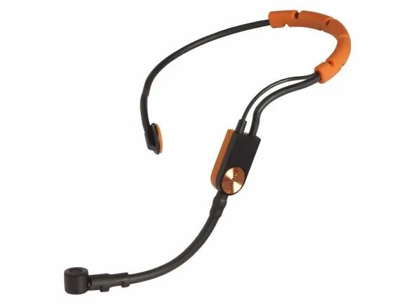 shure-blx14e-sm31fh_5a0b3a24db974.webp