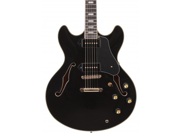 Sire   Larry Carlton H7V BK