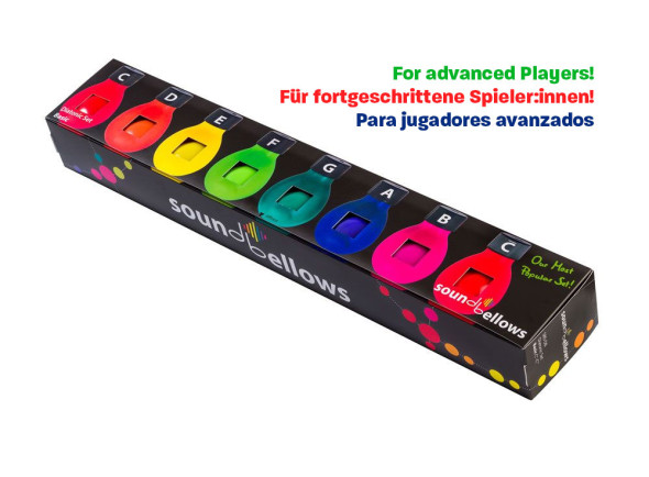 soundbellows-sbs-db-diatonic-set-basic_673e1686d2758.jpg
