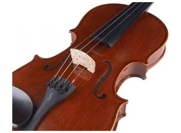 stentor-conservatorio-3-4_58e3a0145e5f8.webp