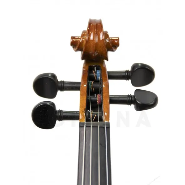 stentor-conservatorio-4-4_5f71b6b12ed26.webp