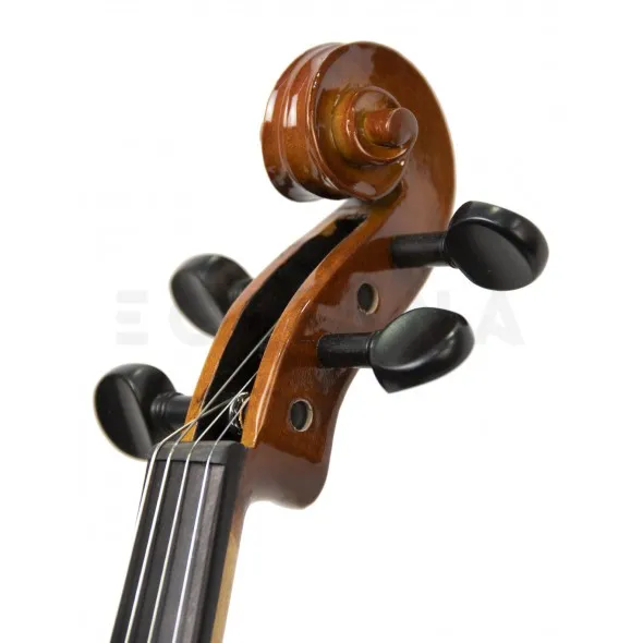 stentor-conservatorio-4-4_5f71b6b2aaba8.webp