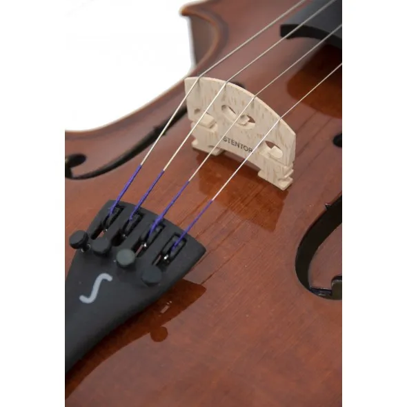 stentor-conservatorio-4-4_5f71b6b42cca3.webp