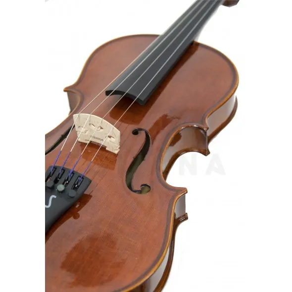 stentor-conservatorio-4-4_5f71b6b5f19fb.webp