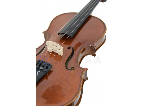 stentor-conservatorio-4-4_6189151b78ee3.webp