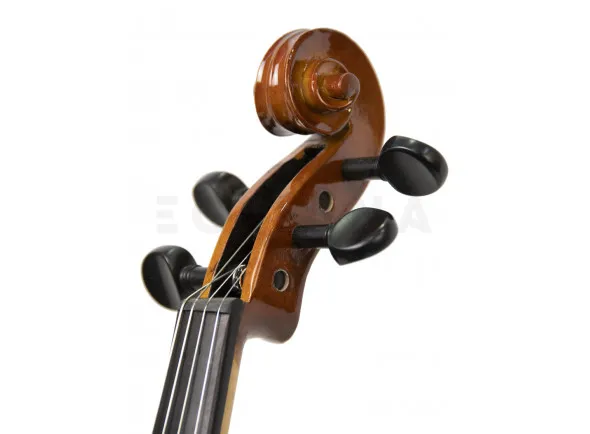 stentor-conservatorio-4-4_6189151de28d2.webp
