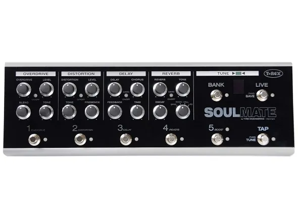 t-rex-soul-mate_5b3c90a133b6f.webp