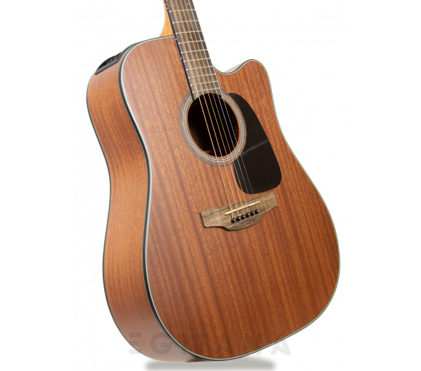 Takamine GD11MCE-NS