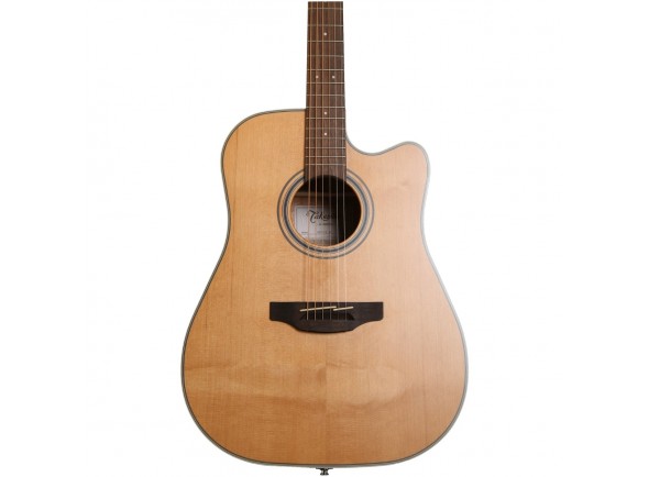 Takamine GD20CE-N