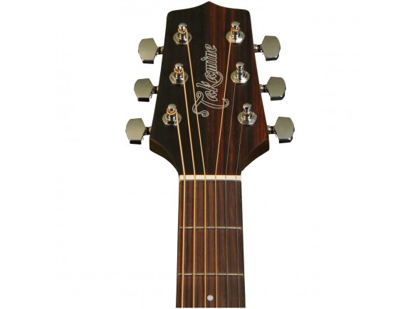 Takamine GD20CE-N