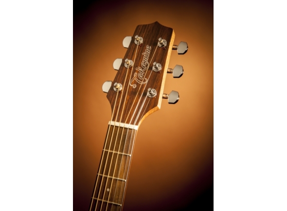 Takamine GD30CE-N