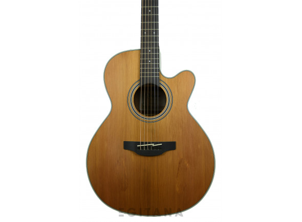 Takamine GN20CE-N