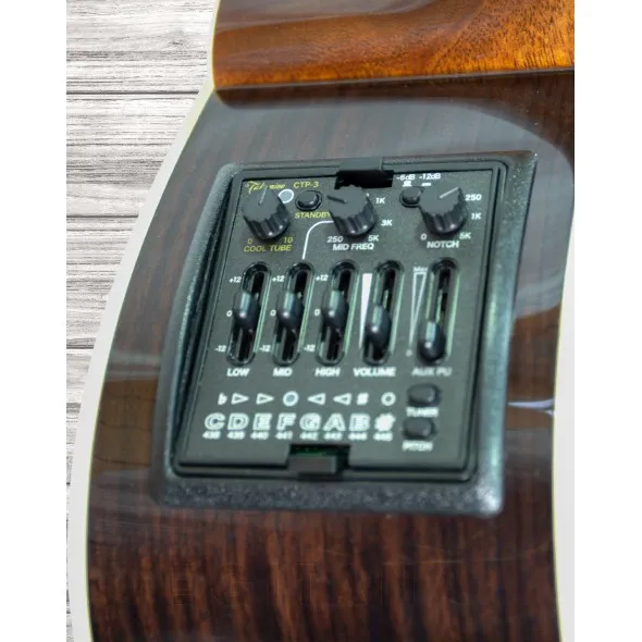 takamine-p5dc_5f05a784b355c.webp