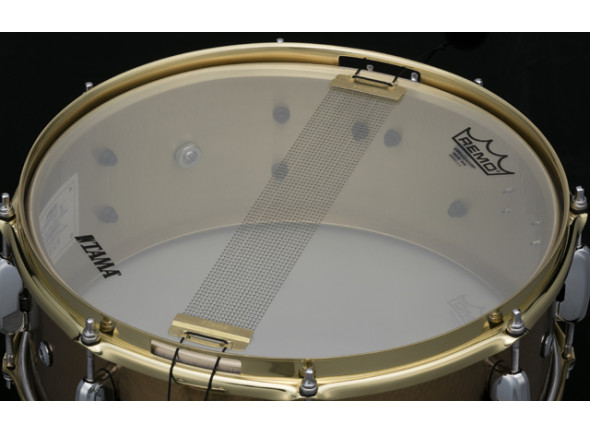 tama-14_69394018c9de0.jpg
