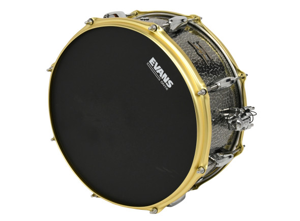 tama-14_69b2d86acec2a.jpg