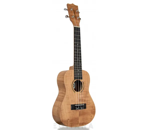 tanglewood-tiare-twt-6_605dc65c21f41.webp