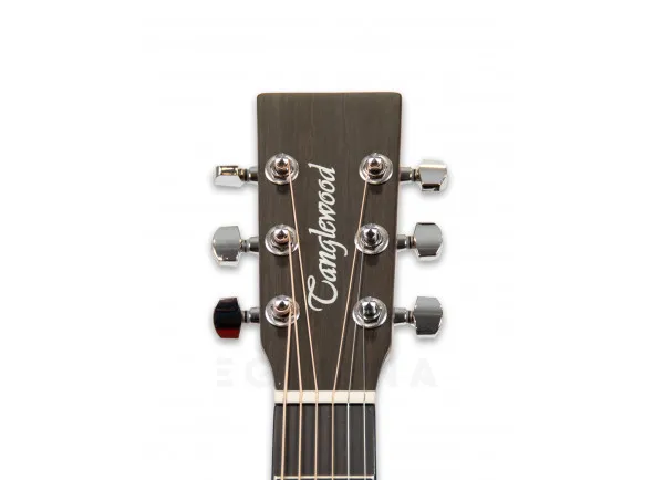 tanglewood-tw2-tse_606b1057e6d6b.webp