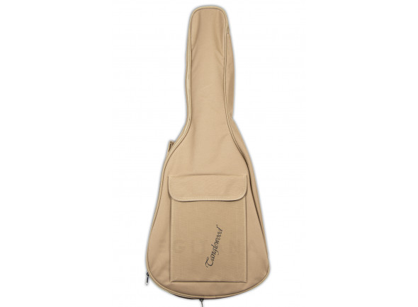 tanglewood-tw2-tse_606b105b63b74.jpg