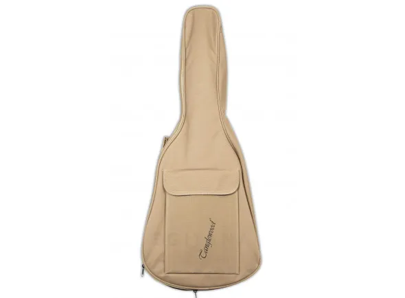 tanglewood-tw2-tse_606b105b63b74.webp