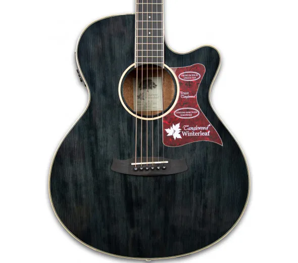 tanglewood-tw4-bs_60114d8432da0.webp
