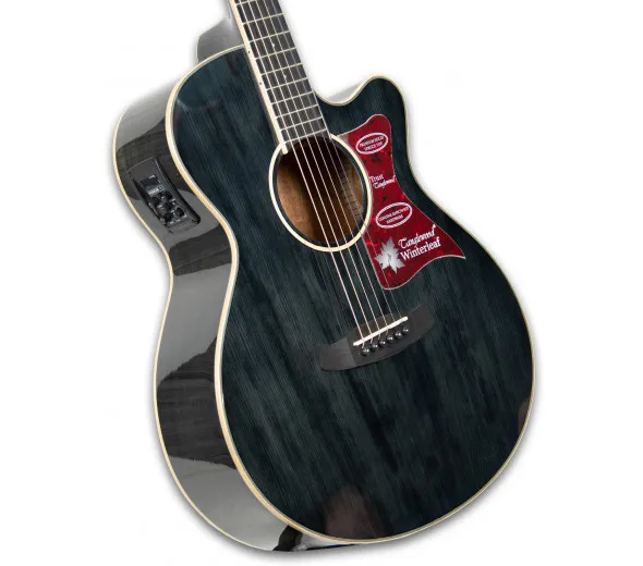 tanglewood-tw4-bs_60114d85cced2.webp