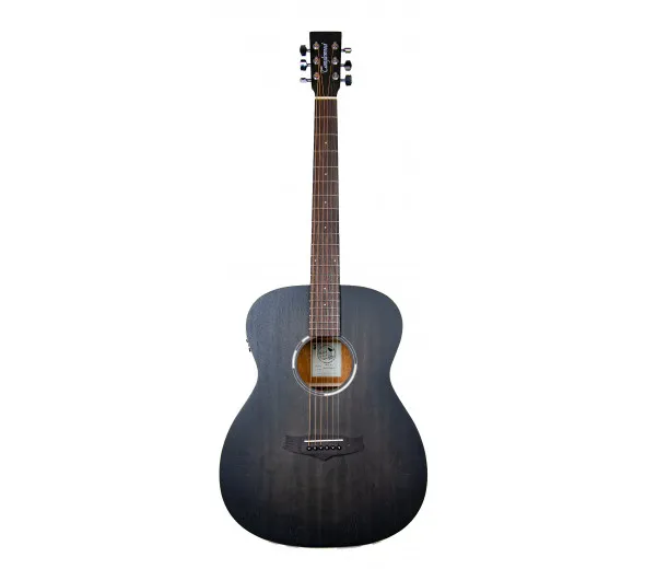 tanglewood-twbb-oe_600f0e16b0a04.webp