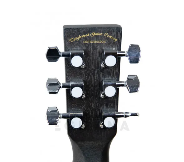 tanglewood-twbb-oe_600f0e195745f.webp
