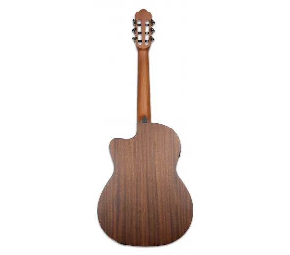 tanglewood-twc-e2_6011451b3419f.webp