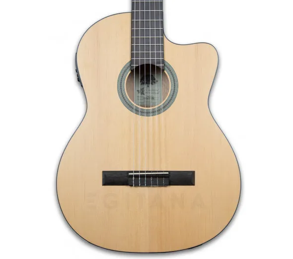 tanglewood-twc-e2_6011451c1542e.webp