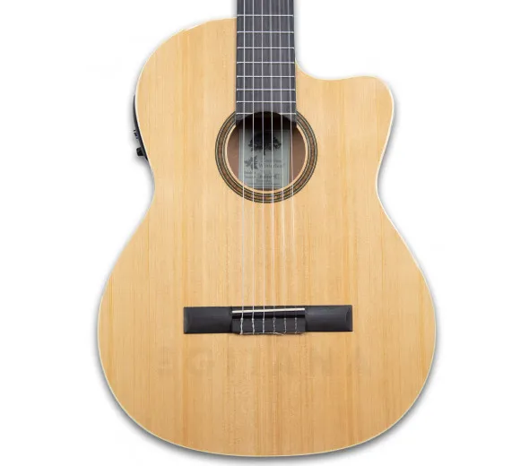tanglewood-twc-e3_6011446ef2f7d.webp