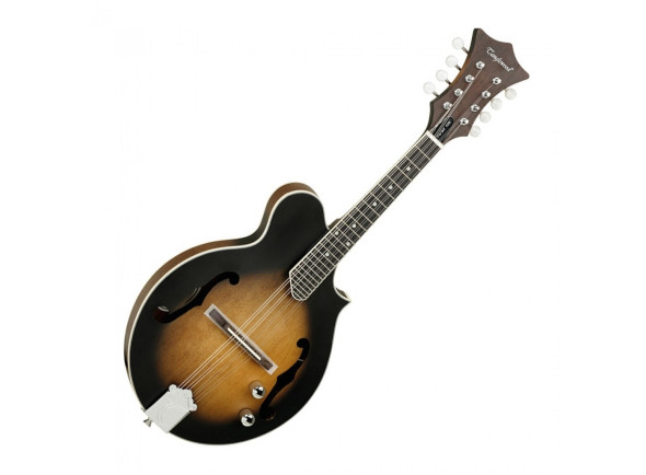 tanglewood-twmf-vse-union-series-vintage-sunburst_686f77d81bb98.jpg