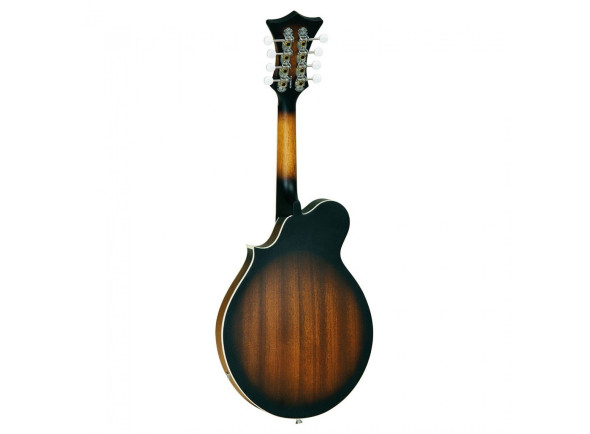 tanglewood-twmf-vse-union-series-vintage-sunburst_686f77db44ae6.jpg