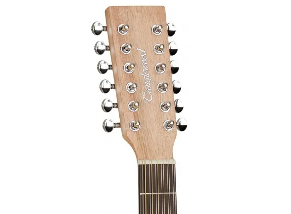 tanglewood-twr-sf-ce_5b7d6f6c9b126.webp