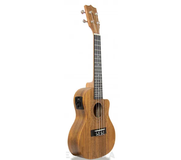 tanglewood-twt-12e_605dd4db6996f.webp
