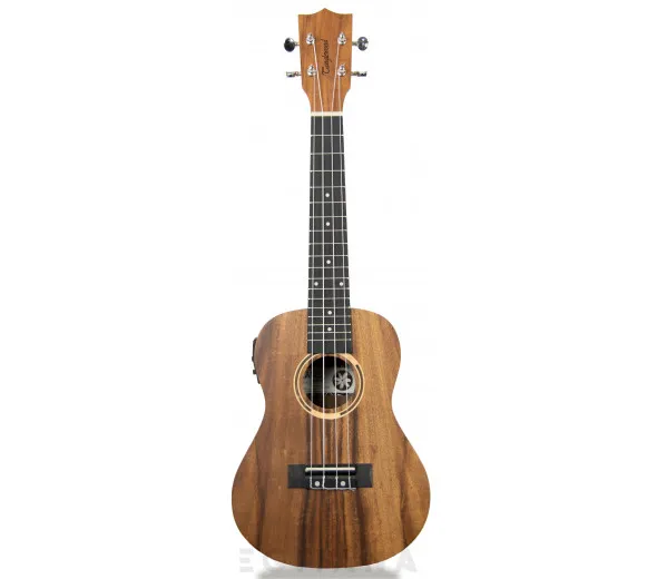 tanglewood-twt-8-e_6061a665d8a78.webp