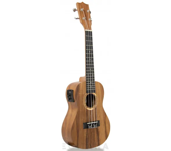 tanglewood-twt-8-e_6061a666b8520.webp